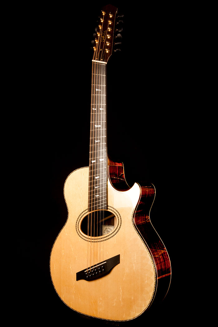 福袋 | Guitars Custom Gordon Fylde | 12-string Fanfret Giltrap's 弦楽器